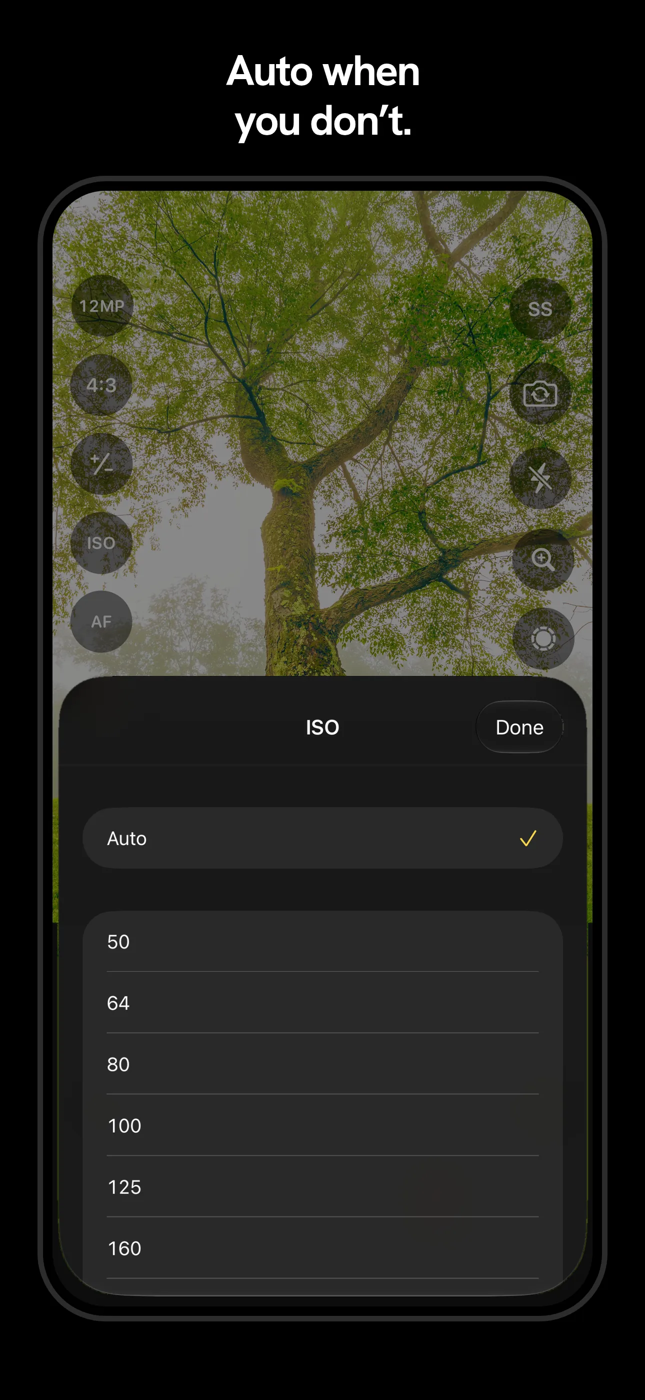 The ISO sheet open over the live view, Auto selected above the manual values from 50 up.